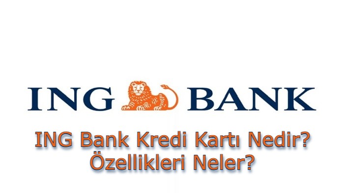 Ing Bank Kredi Karti Nedir Ozellikleri Neler Kredi Destekleri Ve Bankacilik